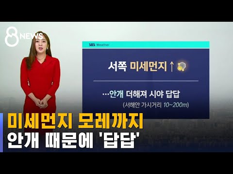 [날씨] 미세먼지 모레까지 계속…안개 때문에 '답답' / SBS