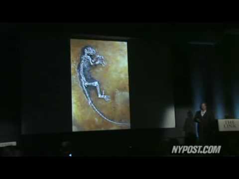 http://www.facebook.com/ScienceReason ... Missing Link In Human Evolution (Part 1): Ida (darwinius masillae) - Our Common Ancestor? --- Please SUBSCRIBE to Science & Reason: ...
