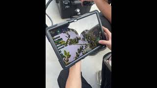 Online demonstration of the use of laser tree pruning machine for foreign customers