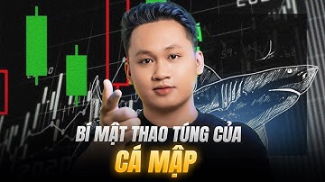 Bí mật Cá Mập Thao Túng Crypto – Sự Thật Bạn Chưa Bao Giờ Biết!