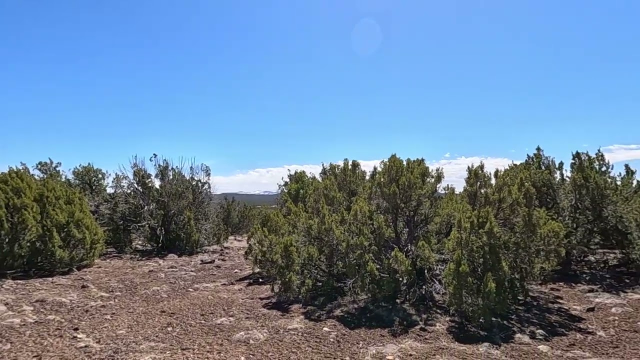 1.19 Acre RV Land in Apache County, AZ! 107-10-416