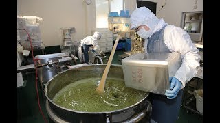 東洋オリーブ - 新漬けオリーブペーストができるまで【製造】