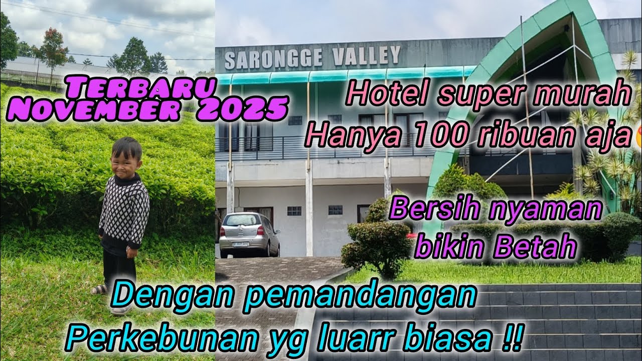 Reddoorz Sarongge valley |Hotel murah seratus ribuan & mengunjungi perkebunan terindah di ds.ciputri