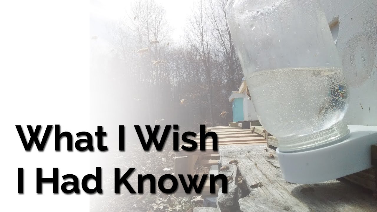 What I Wish I Had Known As A First Year Beekeeper | Beginner Mistakes ...