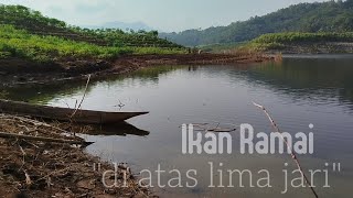 WWL SPOT KUMEJING || Mancing Nyobok Umpan Lumut @mancingadventureteam