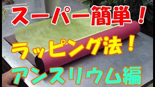 [スーパー簡単！】観葉植物