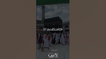 ولنبلونكم بشیء من الخوف والجوع | اسلام صبحي | آيات من سورة البقرة♥️♥️