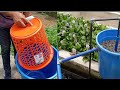 FINALLY RAS. FISH GROWTH BOOSTER:-HOW TO CONSTRUCT POND WATER FILTER FOR FAST GROWTH OF FISH/PART 1