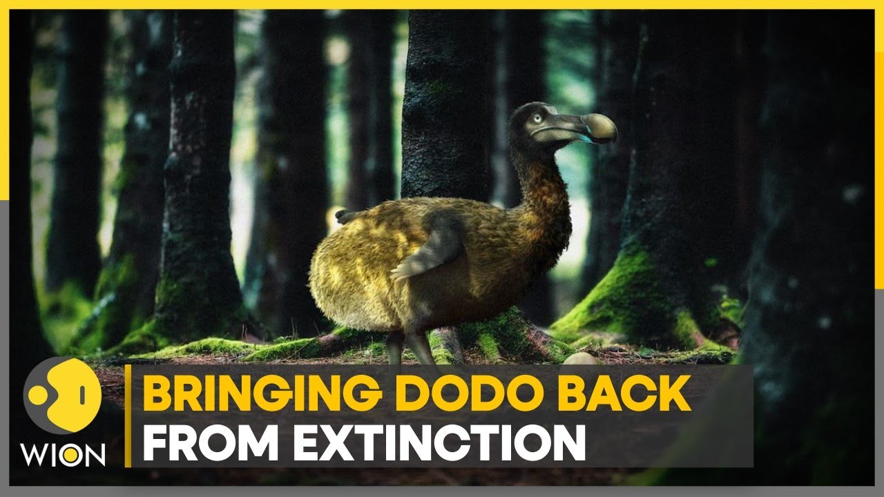 WION Climate Tracker: Dead as dodo, well not quite! | World News | English News | International News