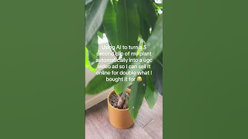 AI Turning My Money Tree Plant Into More Money