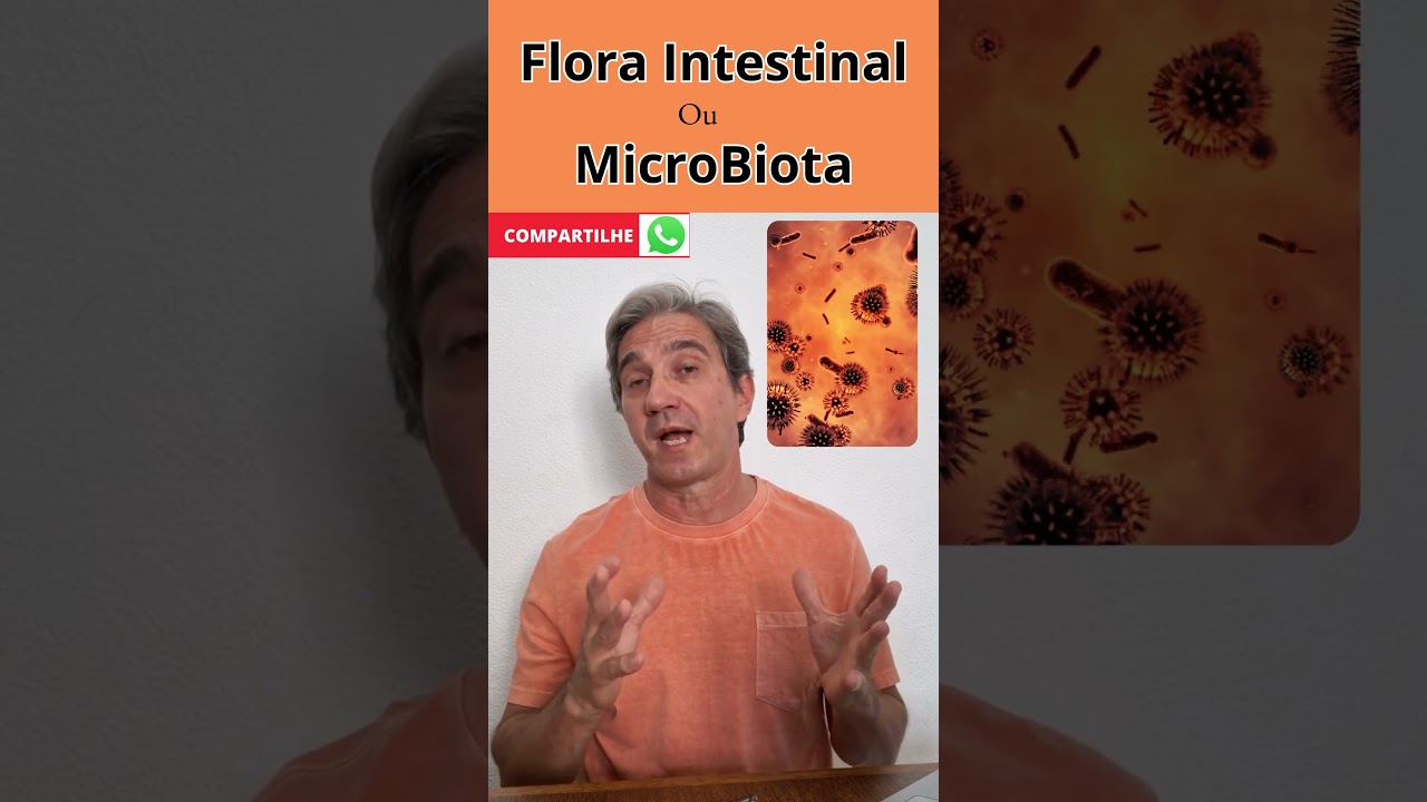 O Que é a Microbiota Intestinal?