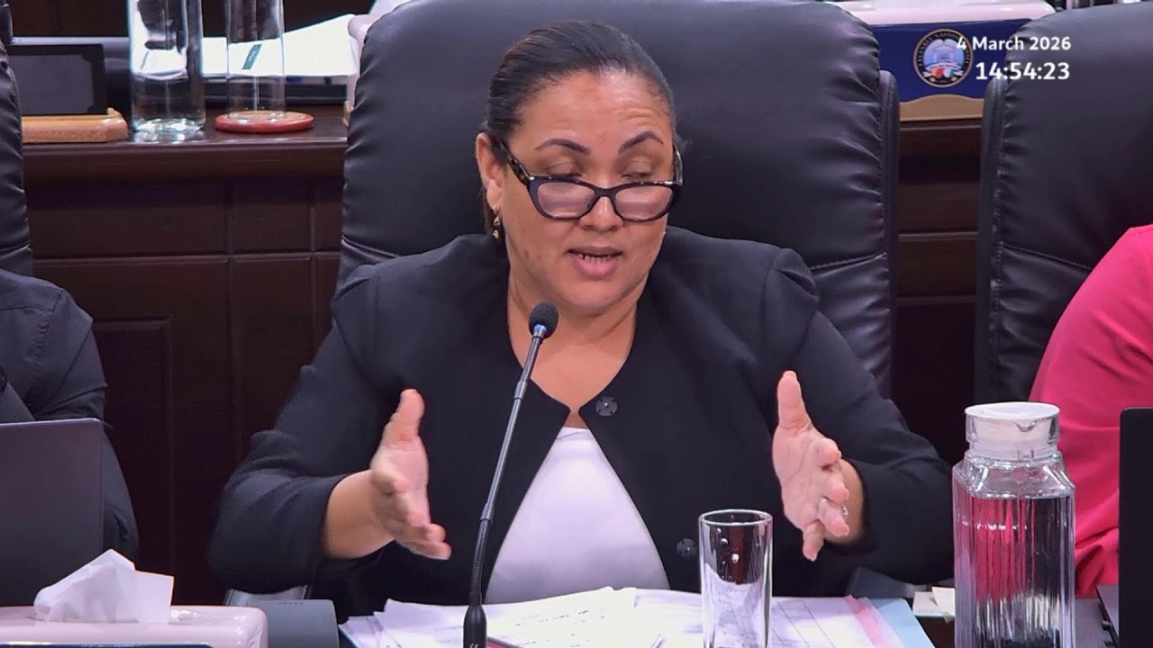 Budget 2026 Committee Stage - Sitting Wednesday 4 March 2026 Part 3