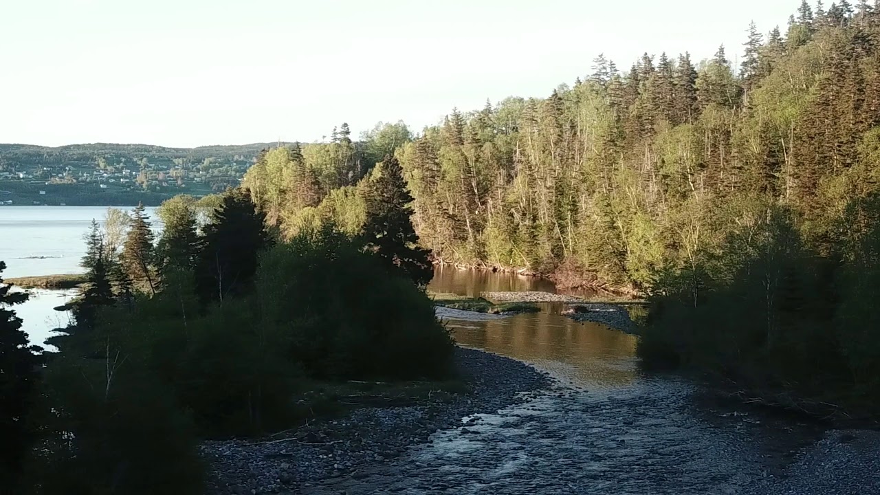 Cooks Brook Flight ! YouTube