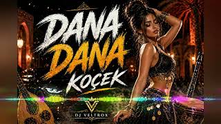 ✨New✨ ❌ DJ Veltrox - Dana Dana ❌ (Zale Zare) 