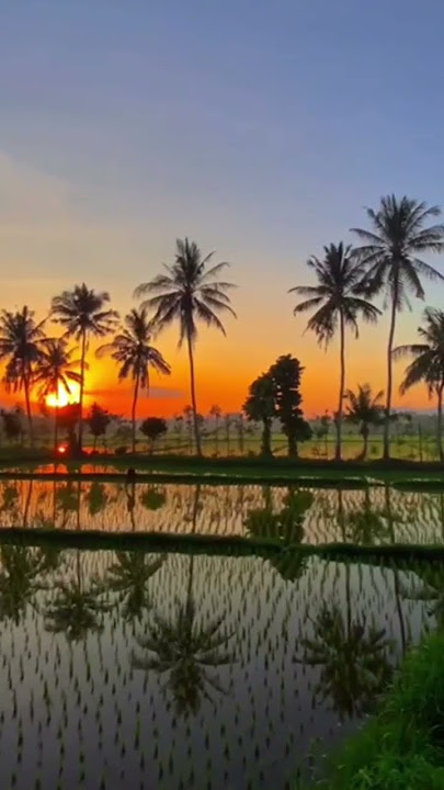 view desa jumantono #karang anyar#story wa sewates konco