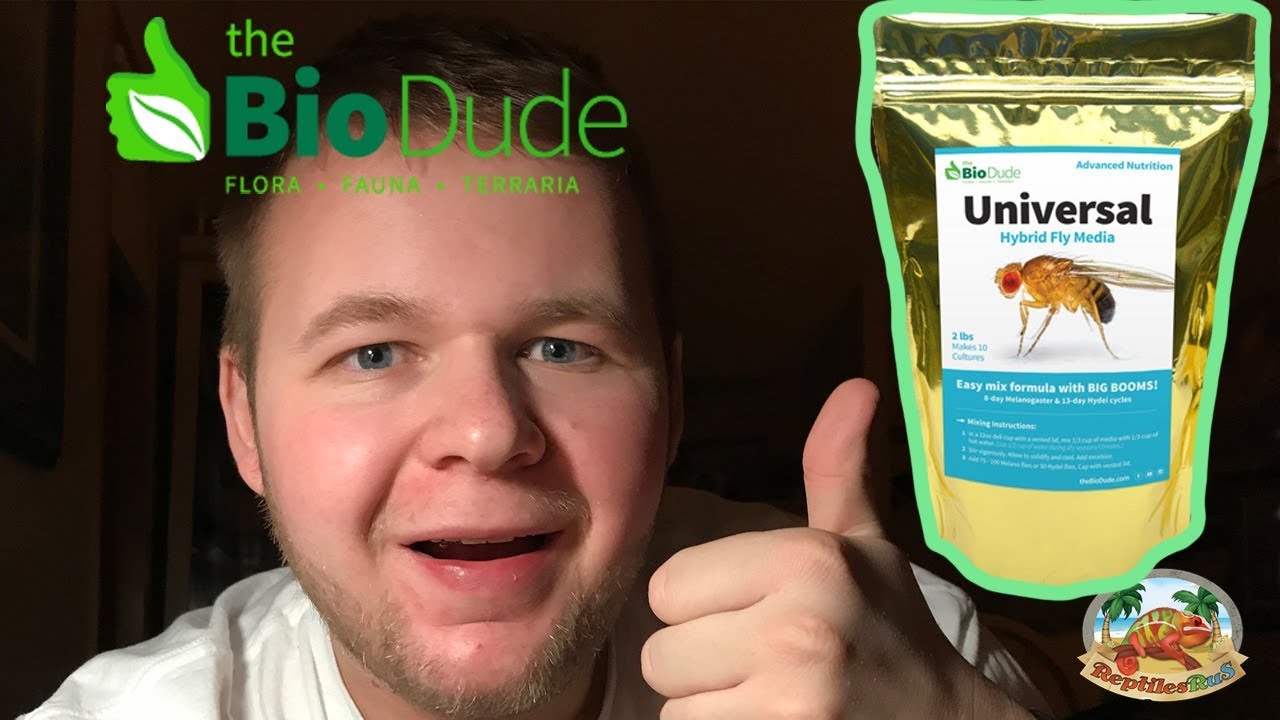 amphibians nedir How to make universal fruit fly media (The Biodude)