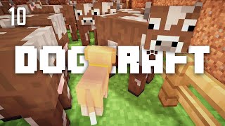 The Cowardly Tails | Dogcraft (Ep.10)