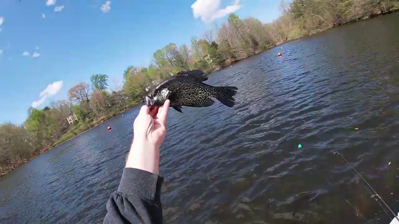 Fishing during Windstorms!? Surprising catches!