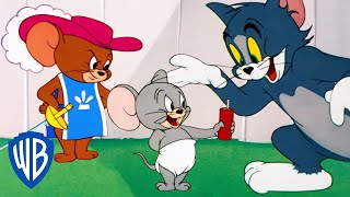 Tom y Jerry en Latino | Nibbles, el más adorable | WB Kids