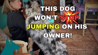 Why Won't This Dog Stop Jumping on Her?