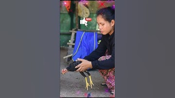 Women Living Standard in Cambodia || Samnang Life