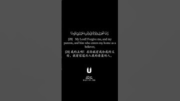 ما تيسر من سورة نوح بصوت الشيخ بدر التركي || وقال نوح ربّ لا تذر على الأرض من الكافرين ديّارا #islam