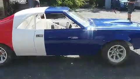 Peter Schulte Javelin Trans Am