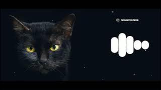 paw pap pap pap ringtone // sougata Dey