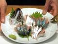松林流の簡単さばのさばき方(How to cut a mackerel )