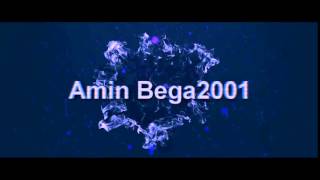 Intro A Amin Bega2001