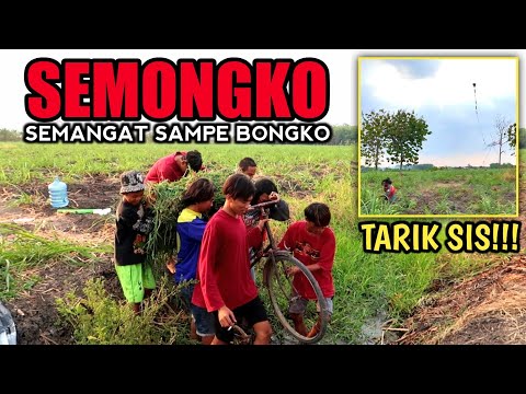 TERNYATA BEGINI NERBANGIN LAYANGAN EKOR TERPANJANG 600 METER GAK ADA ANGIN || eVlog