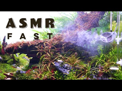 ASMR at Liquid Nature Vienna | Aquarium Gallery | Count The Triggers