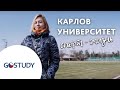 Отзыв о GoStudy. Обучение в Чехии. Карлов университет. Спортивный факультет.