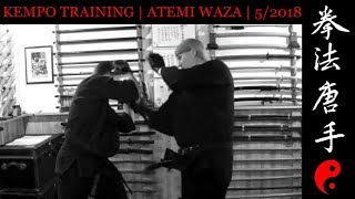 Boxing Techniques Kempo Kickboxing Training & Bag Drills Atemi Waza Striking Combinations
