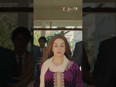 عزوز عندك وجه وتقابل بيه الشروقTV الرباعة