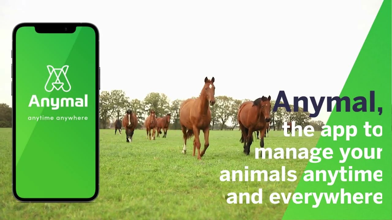 Anymal: Animals health manager