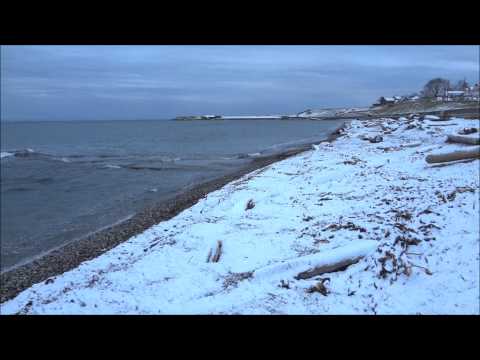 a-peaceful-snowfall-at-ross-bay-victoria-bc