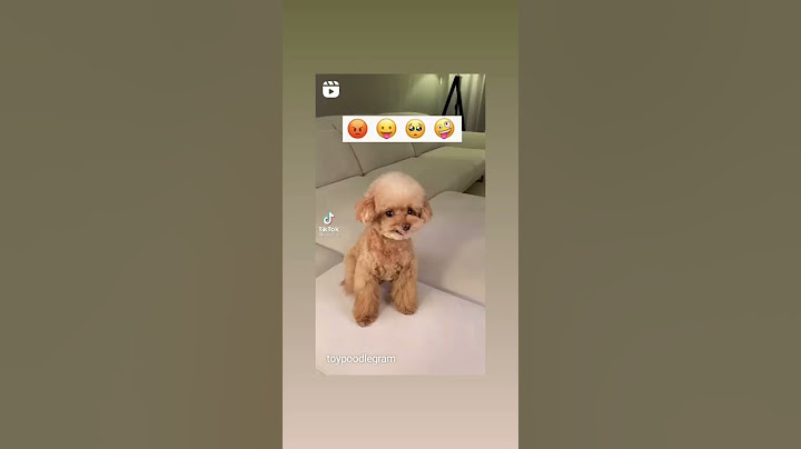 puppy vs emoji | Puppy | Cute Stuff