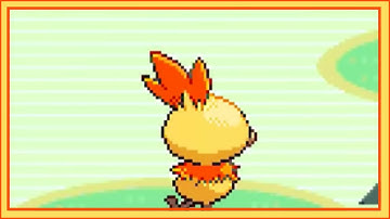 LIVE Shiny Torchic after 7,310 SRs in Pokemon Ruby + 3 Shiny Poochyena (DTQ #1)
