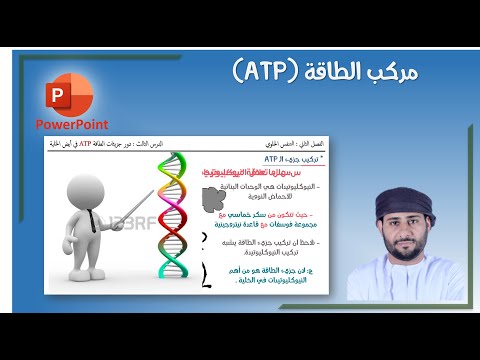 فيديو: أي جزء من الخلية ينتج مصدر الطاقة الرئيسي في الجسم على شكل ATP؟