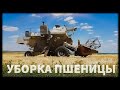 УБОРКА ПШЕНИЦЫ КОМБАЙНОМ НИВА СК-5. ИНТЕРЕСНЫЕ МОМЕНТЫ!