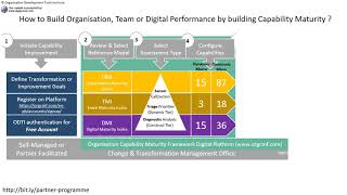 How to build Organisation, Team or Digital performance through Capability Building