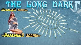 26.05.24❄️THE LONG DARK ️(DLC)✅Незваный гость ( 3-ий стрим)