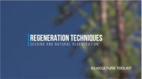 Silviculture Toolkit - SEEDING AND NATURAL REGENERATION