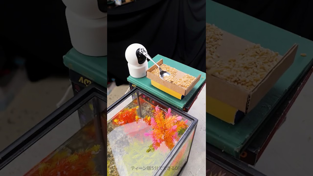 魚にCCTVカメラで餌を与える方法は？ 🤳