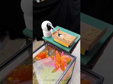 魚にCCTVカメラで餌を与える方法は？ 🤳