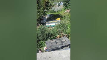 HRTC Tata 1613 BS 4 bus  #bus #hrtc #shortvideo #localbus #youtubeshorts