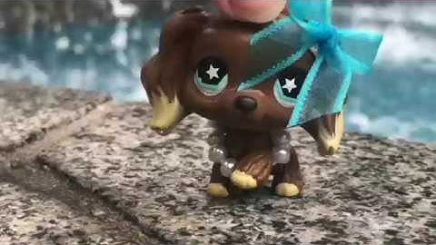 ~ LPS MEP Part 5 For Starry_lps | Sorry Not Sorry | ~