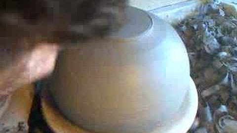 SIMON LEACH - trimming a curvy bowl !