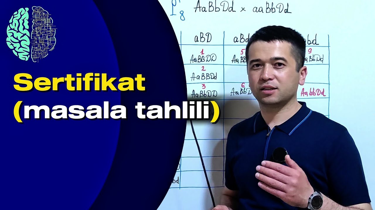 Sertifikat masala tahlili (penetrantlik).          